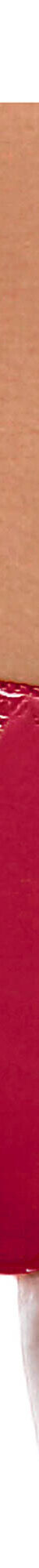 Culotte maille satinée et tulle brodé Calenca (cerise) Culotte maille satinée et tulle brodé Calenca (cerise)